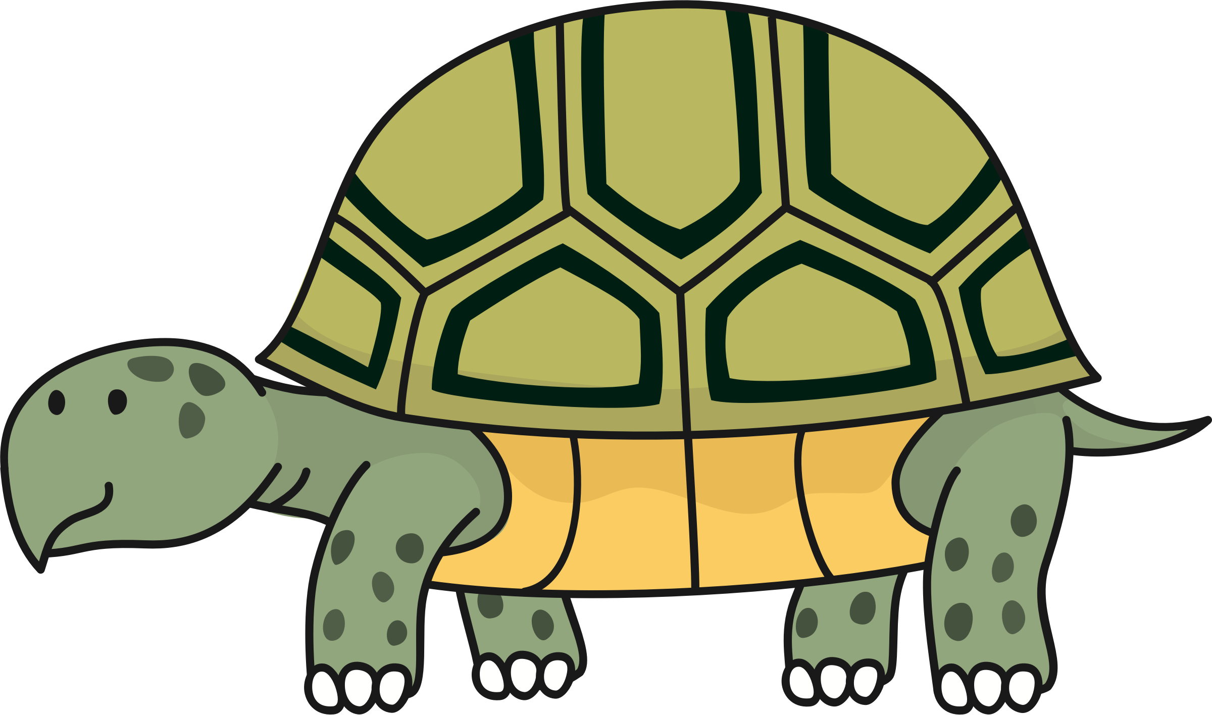 Clipart Tortoise