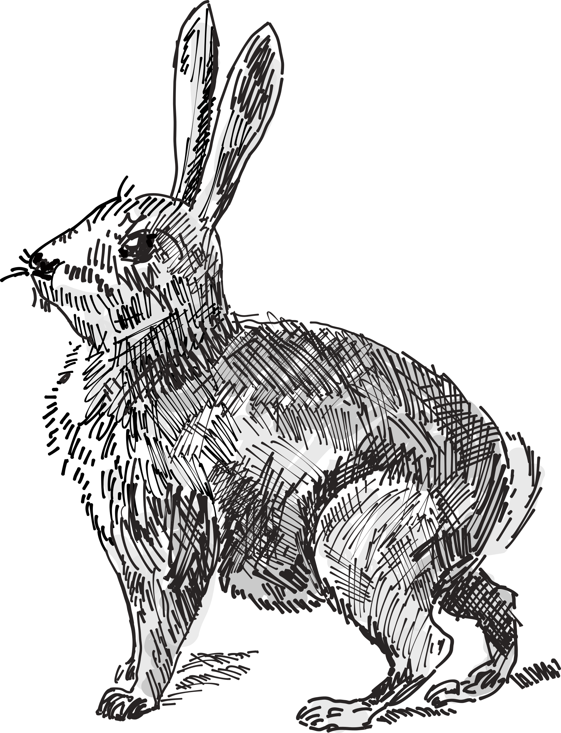 rabbit hutch clipart - photo #44