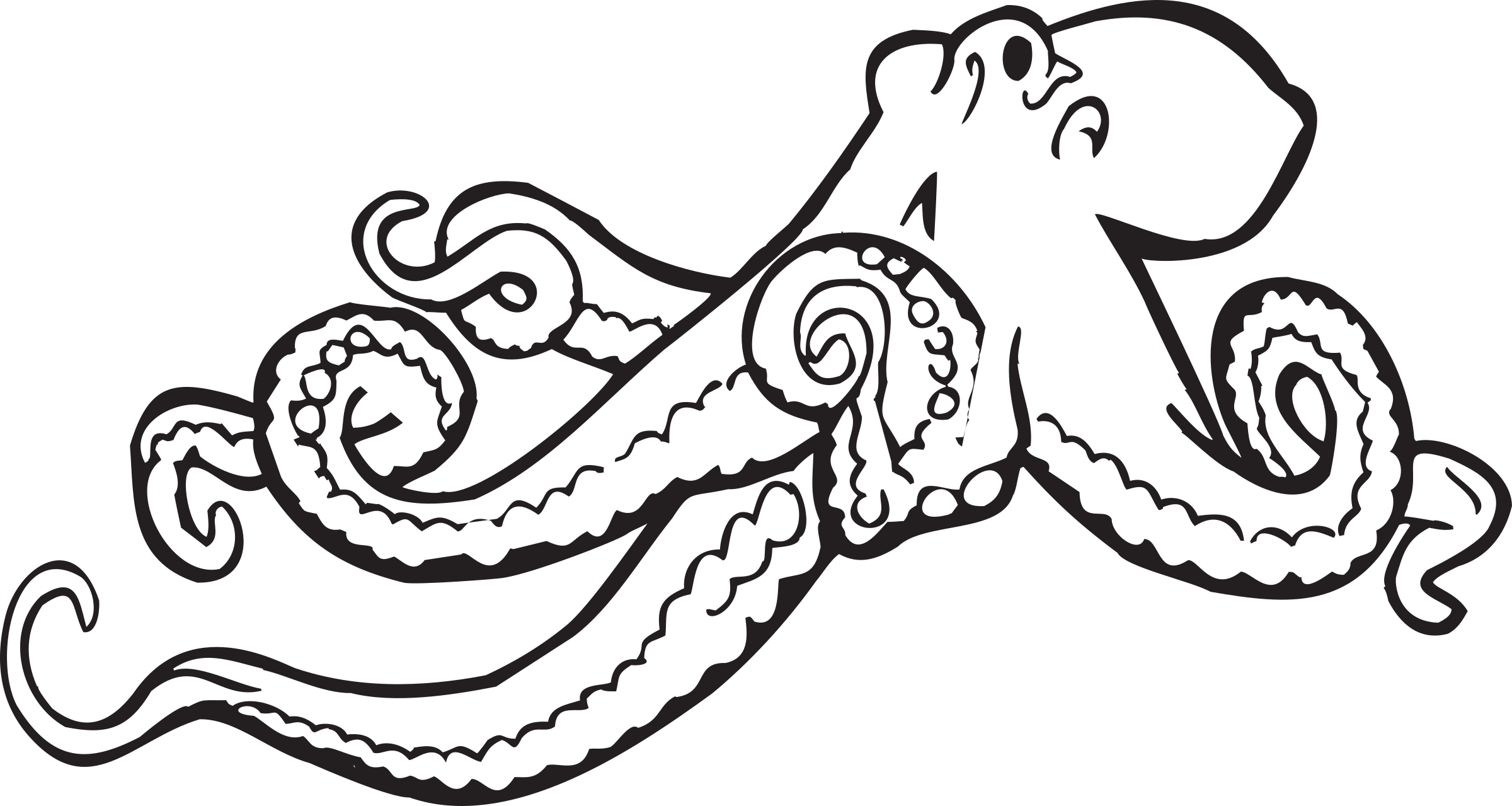 Coloring Book Octopus Coloring Book Octopus