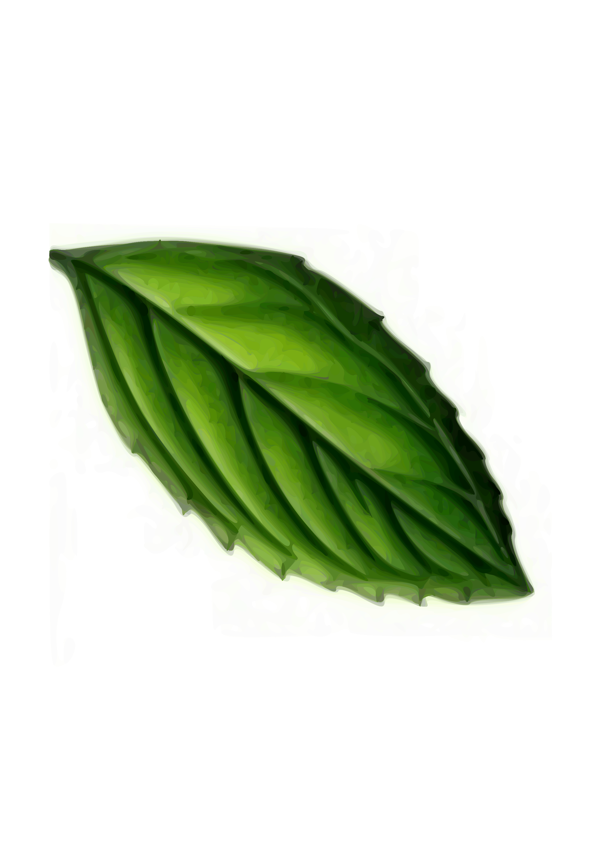 Clipart - Mint Leaf