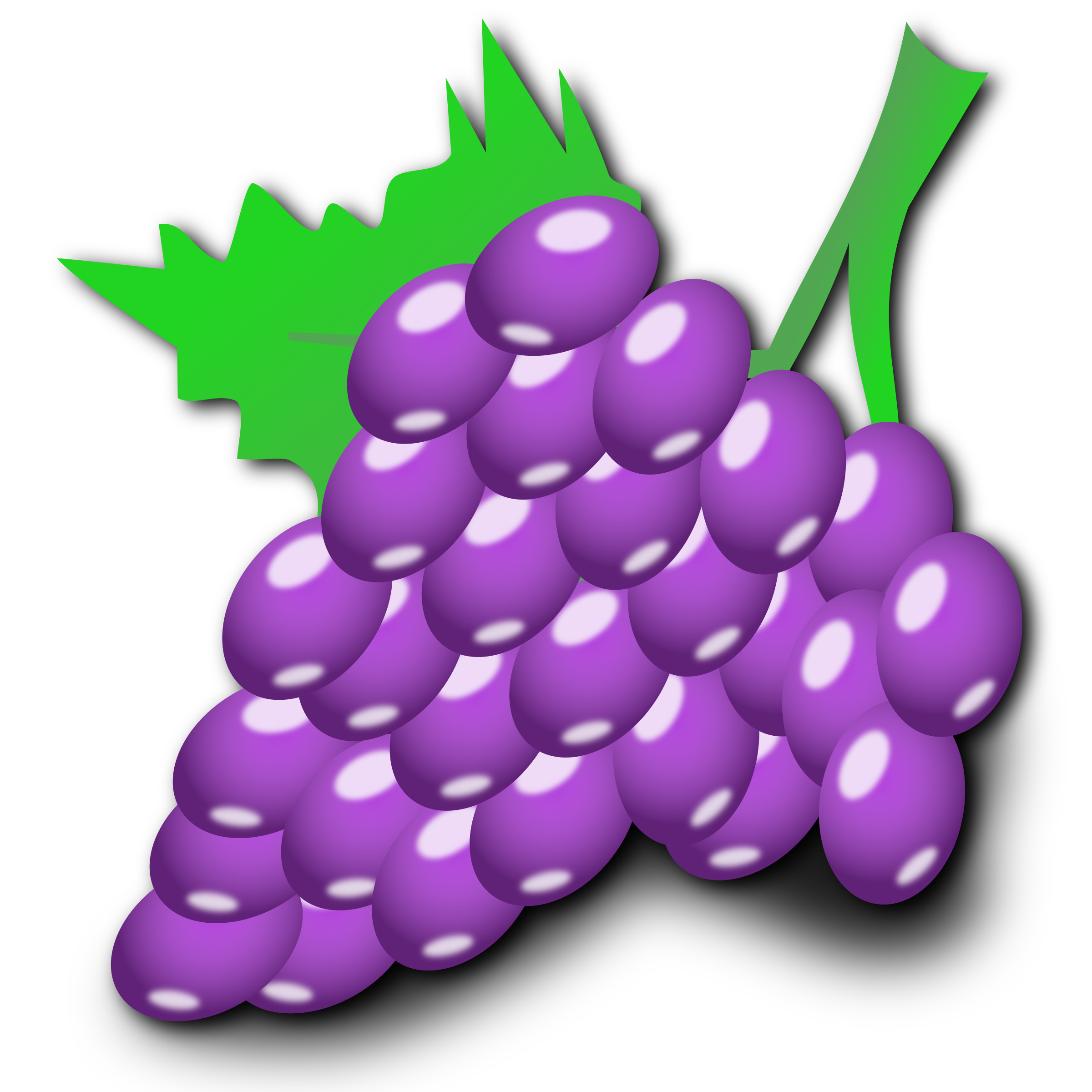 Clipart Grapes Clipart Grapes