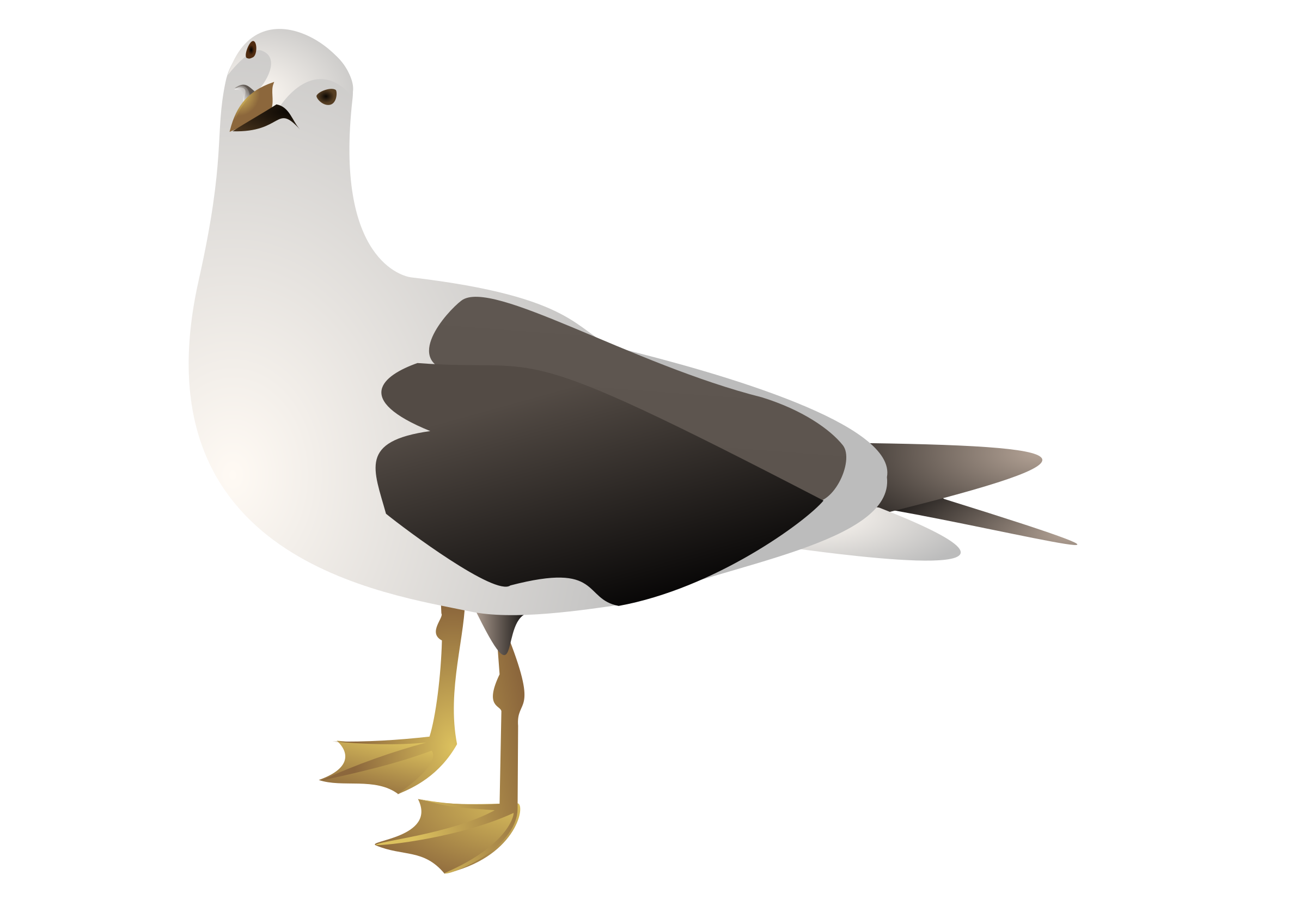 free clip art seagull cartoon - photo #15