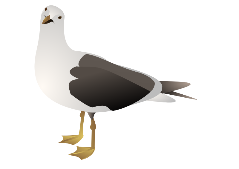 Clipart Seagull