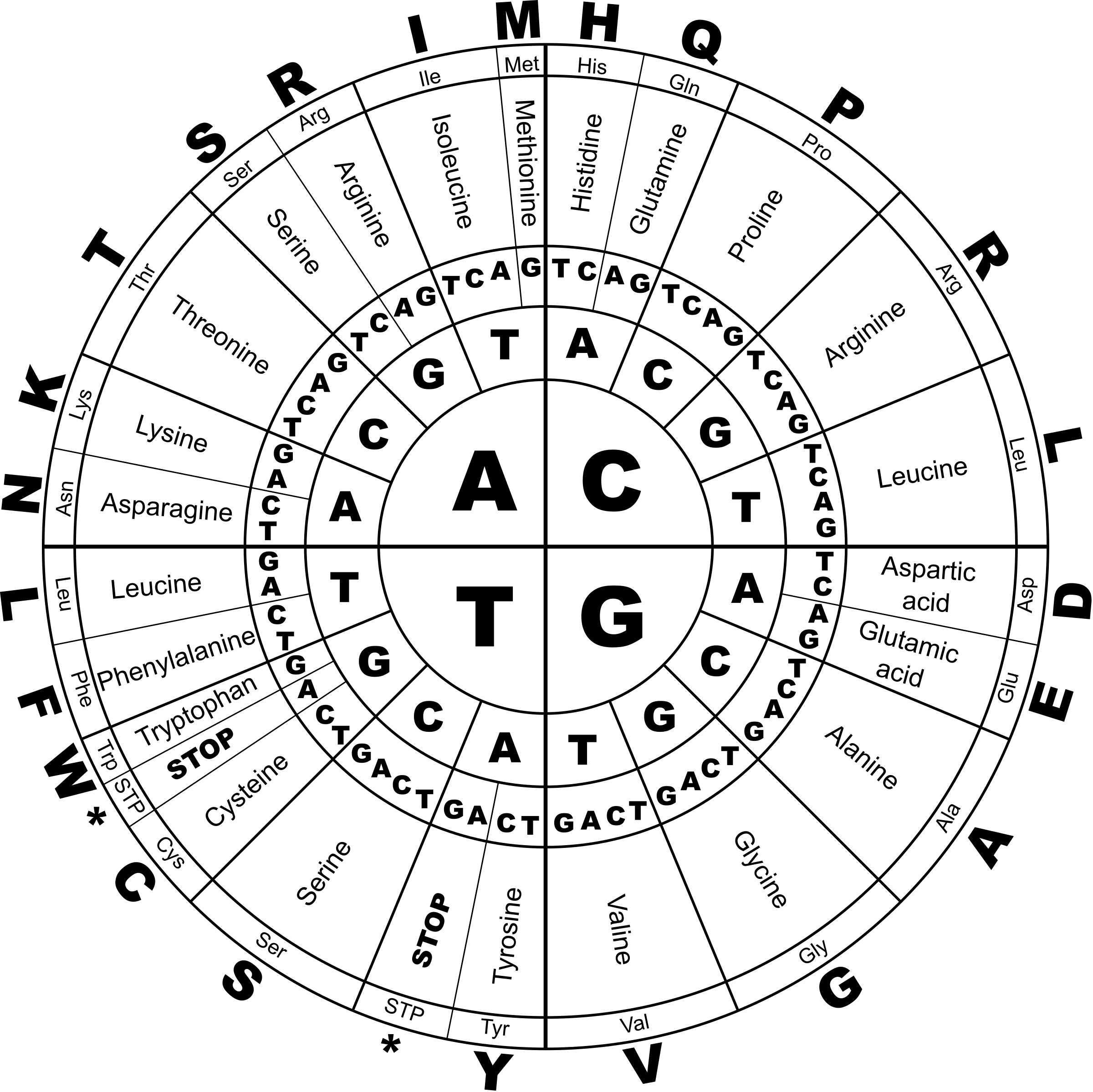 Clipart - Genetic Code BW