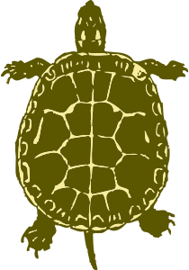openclipart圖庫：turtle