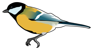 openclipart圖庫：Great Tit