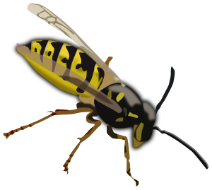openclipart圖庫：Wasp