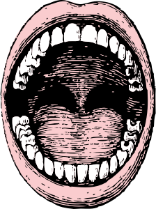 openclipart圖庫：open mouth