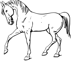 Horse ::: Pɔnkɔ