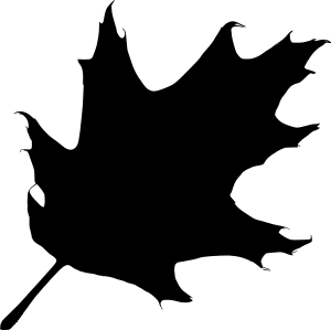 openclipart圖庫：oak leaf silhouette