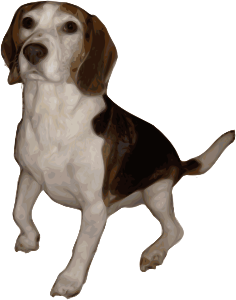 openclipart圖庫：Beagle Small Version