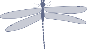openclipart圖庫：damselfly