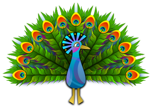 openclipart圖庫：Peacock