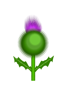 openclipart圖庫：Scottish Thistle