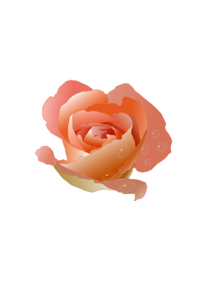 openclipart圖庫：Rose with Drops