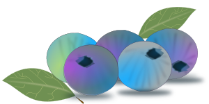 openclipart圖庫：blueberry