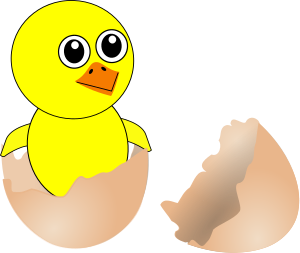 openclipart圖庫：Funny Chick Cartoon Newborn Coming Out from the Egg