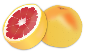 openclipart圖庫：Grapefruit