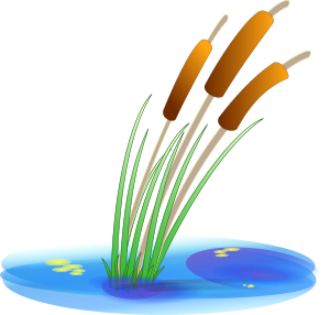 openclipart圖庫：reed