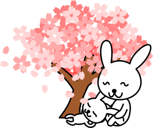 openclipart圖庫：cherry blossoms rabbit
