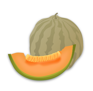 openclipart圖庫：Musk Melon