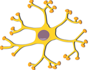 openclipart圖庫：neuron-interneuron 2