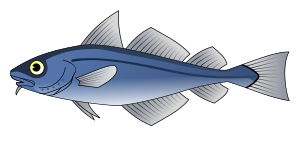 openclipart圖庫：Codfish