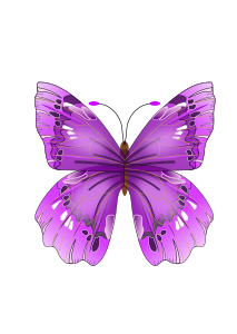 openclipart圖庫：Butterfly