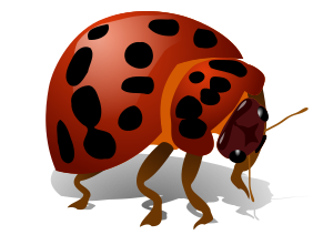 openclipart圖庫：Bug
