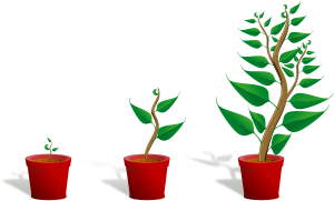 openclipart圖庫:Green plant in its pot in three different phases of growth openclipart圖庫:Green plant in its pot in three different phases of growth
