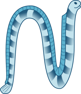 openclipart圖庫：Sea snake