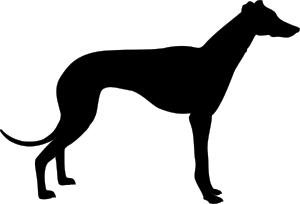 openclipart圖庫：greyhound silhouette