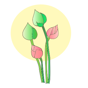 openclipart圖庫：Lotus