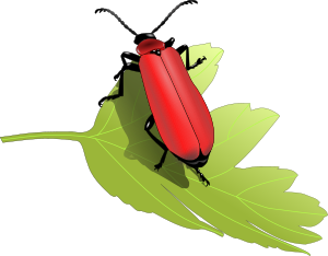 openclipart圖庫：Cardinal beetle (Pyrochroa coccinea)