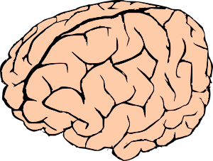 openclipart圖庫：Brain