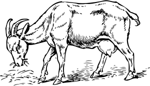 openclipart圖庫：goat