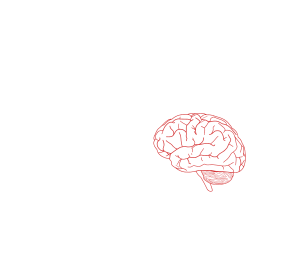 openclipart圖庫：brain profile 2
