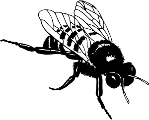 openclipart圖庫：bumble bee