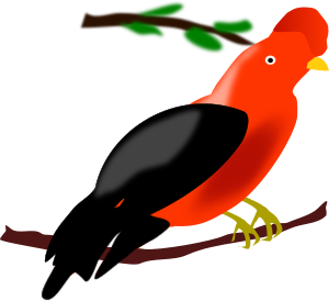 openclipart圖庫：Andean Cock-of-the-rock