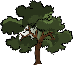 openclipart圖庫：Oak tree