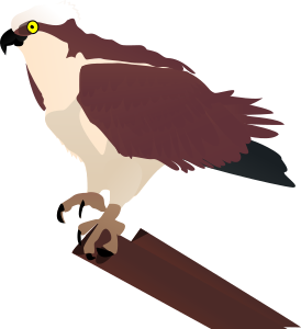 openclipart圖庫：osprey