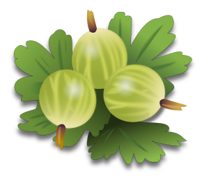 openclipart圖庫：green gooseberrys