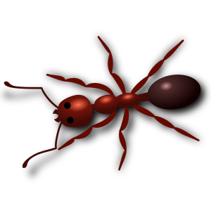 openclipart圖庫：Ant