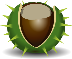 openclipart圖庫：Chestnut