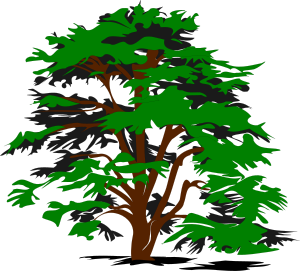 openclipart圖庫：simple vector tree