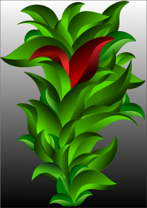 openclipart圖庫：Plant