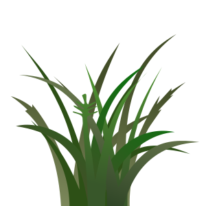 openclipart圖庫：Dark Grass