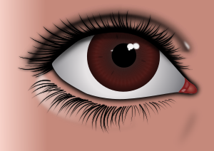 openclipart圖庫：Realistic Brown Eye