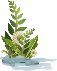 openclipart圖庫：Plants nogloss