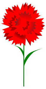 openclipart圖庫：Carnation